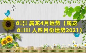 🦊 属龙4月运势（属龙 🕊 人四月份运势2021）